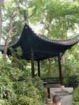 园林 树木 绿色 公园 亭子