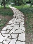 园林 树木 绿色 公园 道路