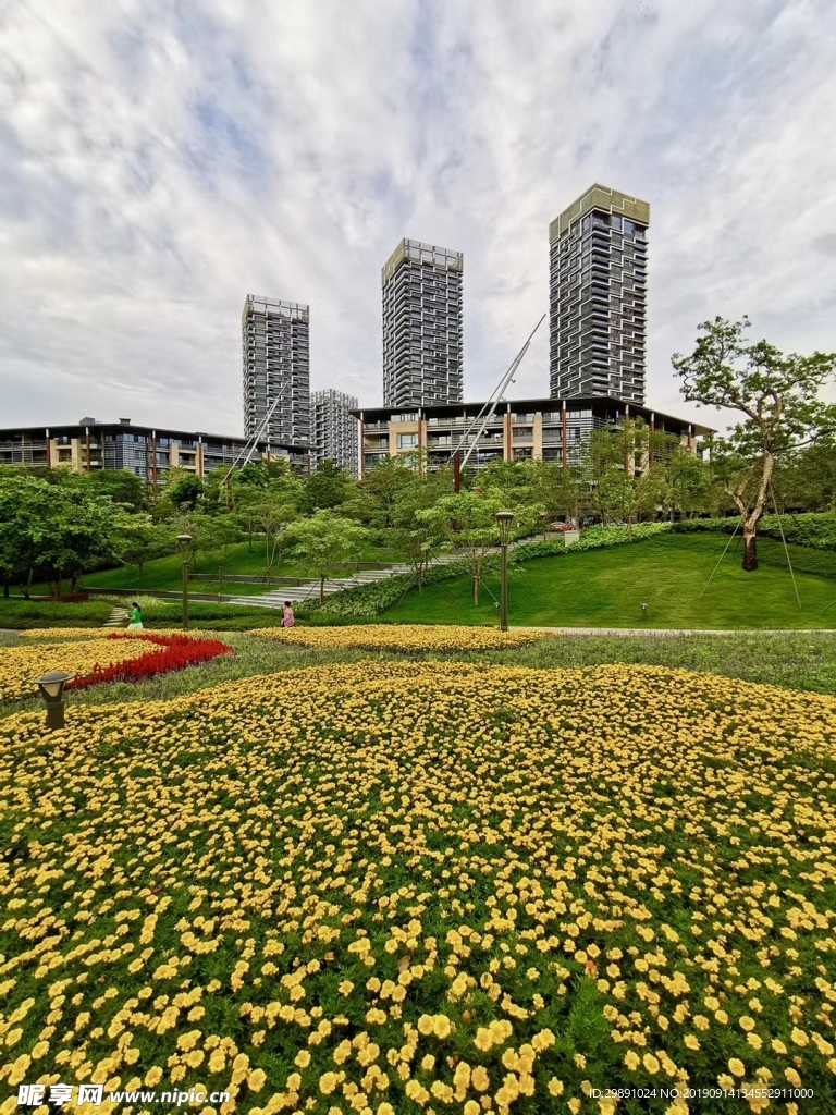 景 建筑 房屋 街道 阳光 城