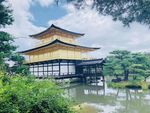 美景 建筑 房屋 街道 阳光