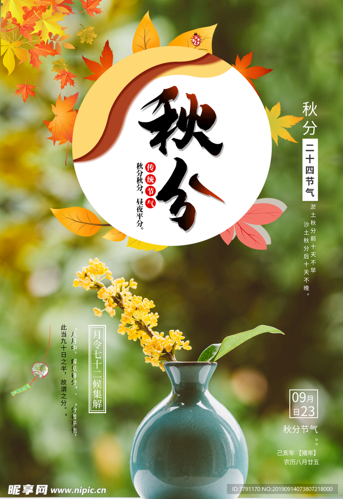 秋分