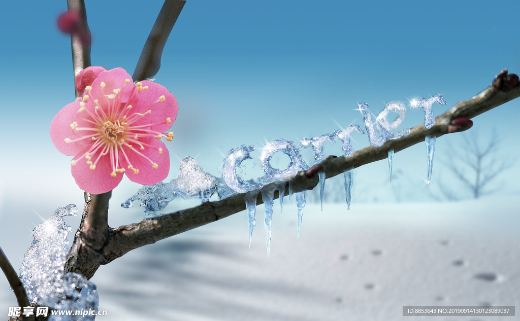 梅花