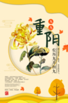 重阳节海报