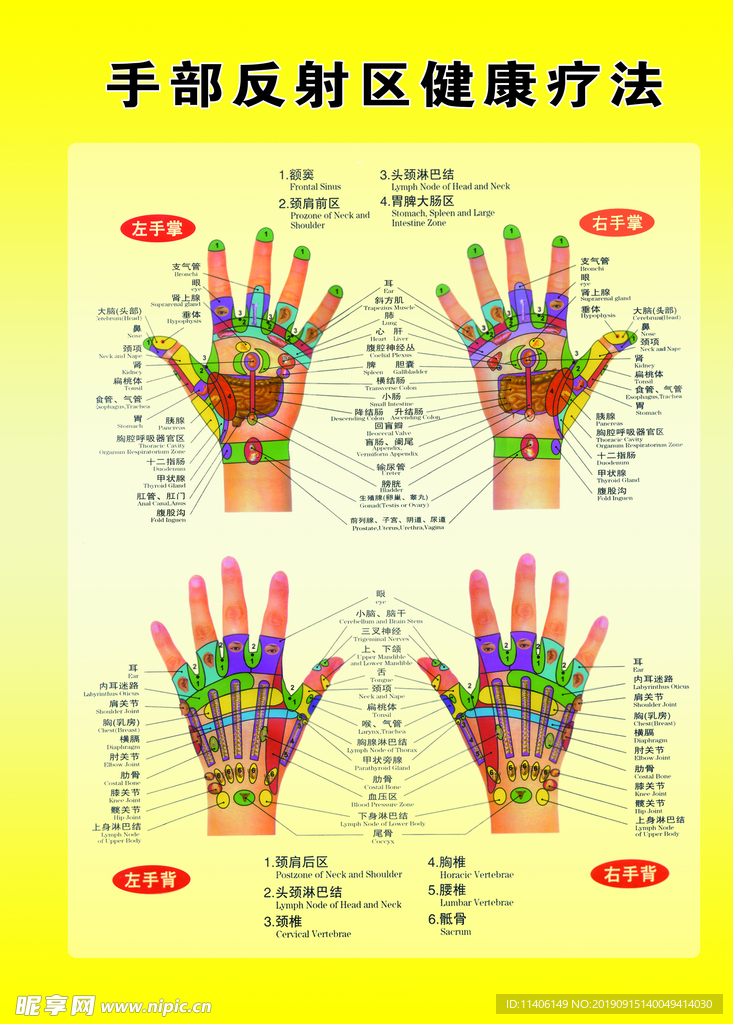 手部反射区健康疗法