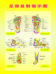 足部反射指示图