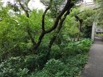 莲花山曲径通幽
