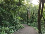 莲花山小径风景摄影图