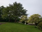 莲花山风景图片