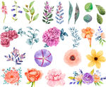 花纹