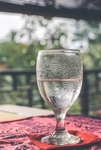 酒杯