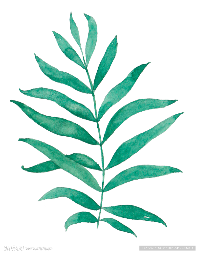 绿色植物树枝树叶