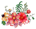 传统花朵花纹图案