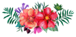 传统花朵花纹图案
