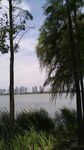 河岸风景