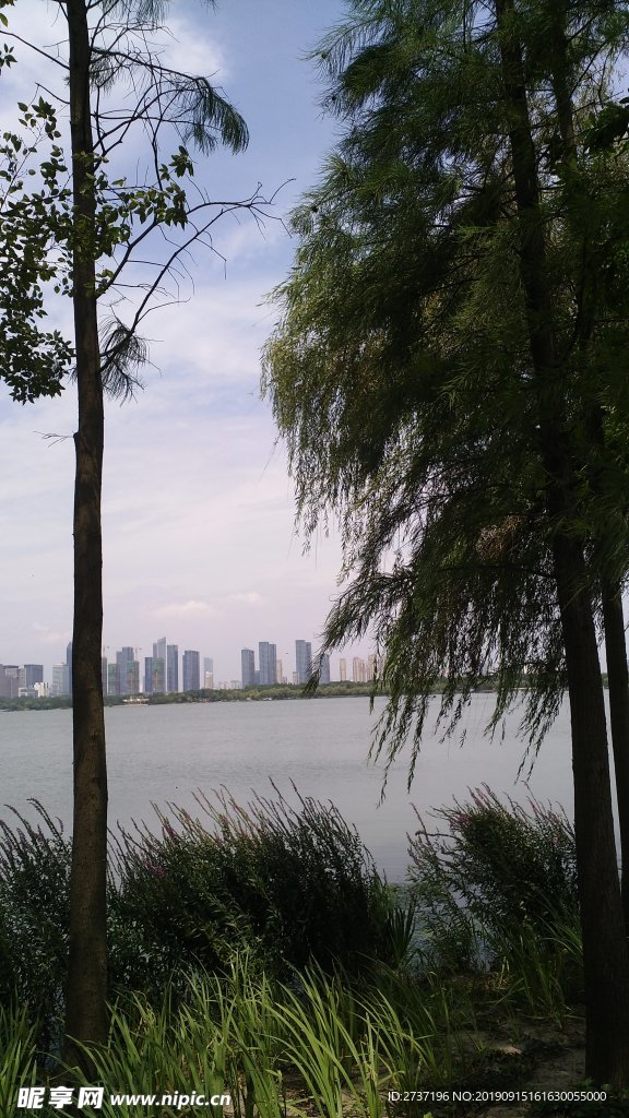 河岸风景