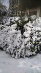雪天