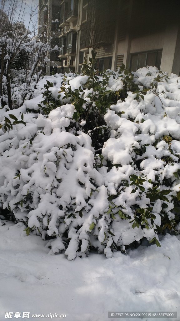 雪天