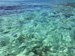 绿松石水域