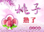 桃子包装盒素材粉红色背景桃花