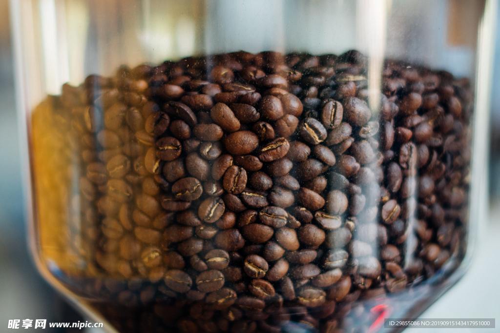 容器里的咖啡豆