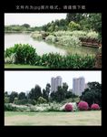 公园风景照