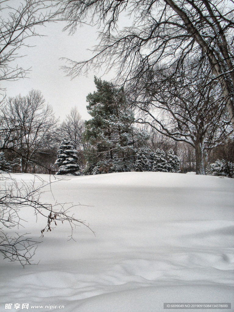 雪景