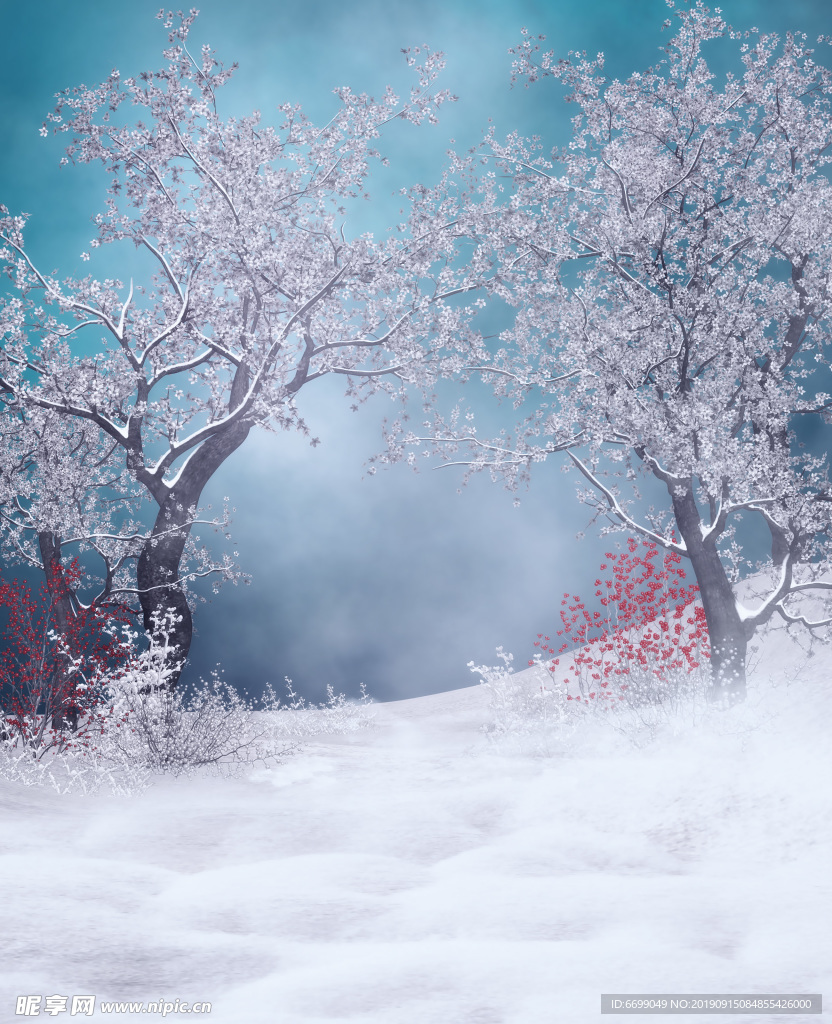 雪景