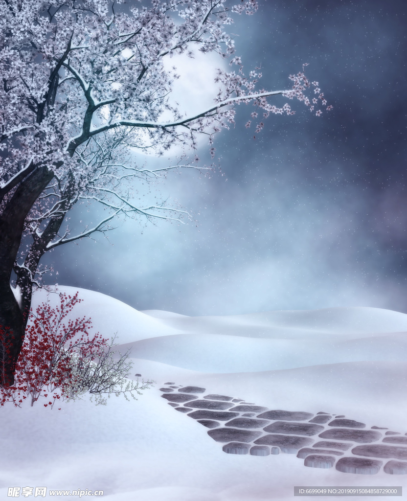 雪景