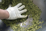 手工炒茶