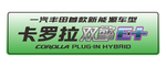 新能源车牌