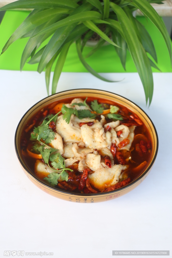 藤菽鱼高清图