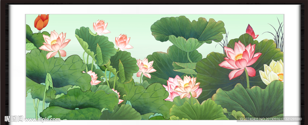 荷花图