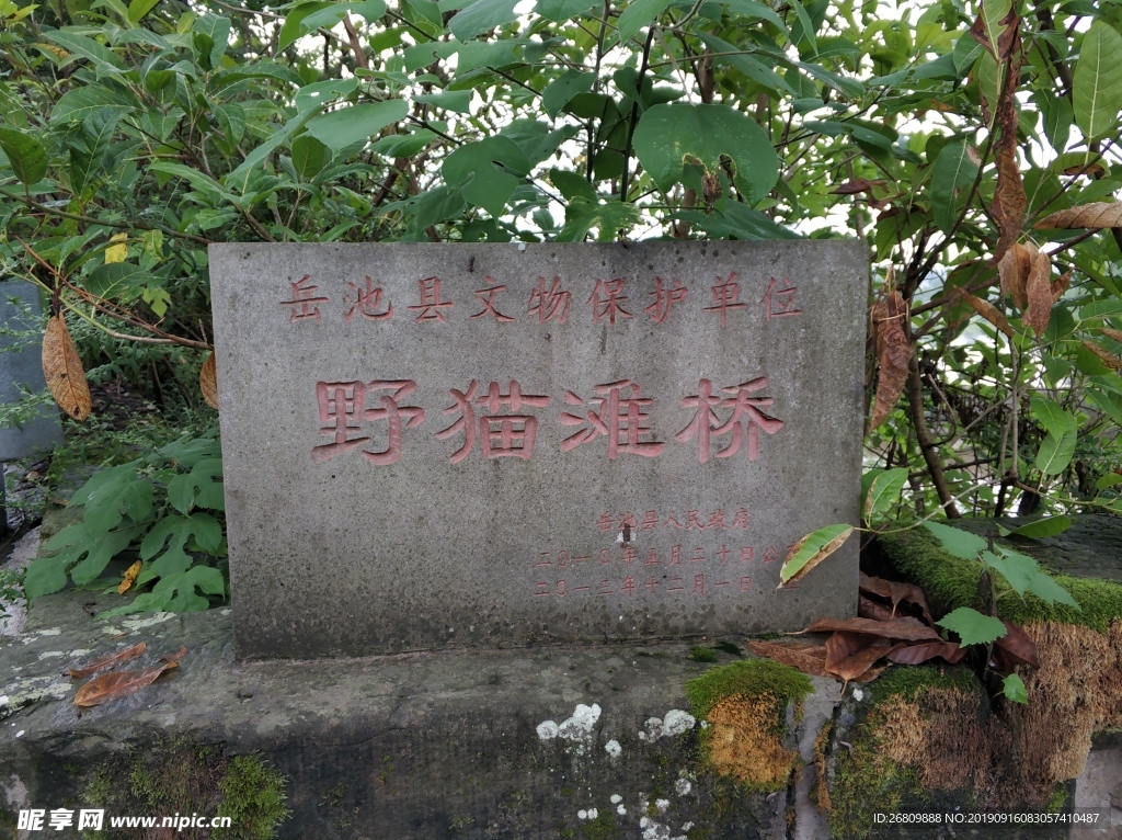 野猫滩瀑布  野猫滩  酉溪