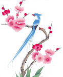 花鸟