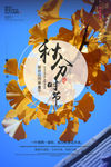 秋分