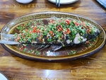 鲫鱼