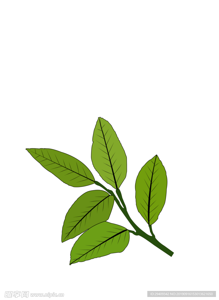中草药