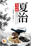 冬病夏治