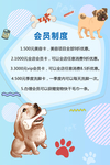 宠物会员制度