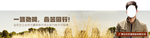 服装banner