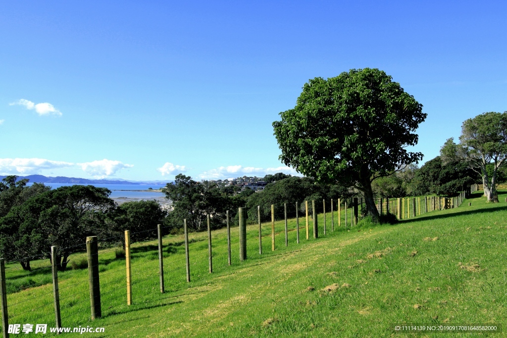 新西兰自然田园风光