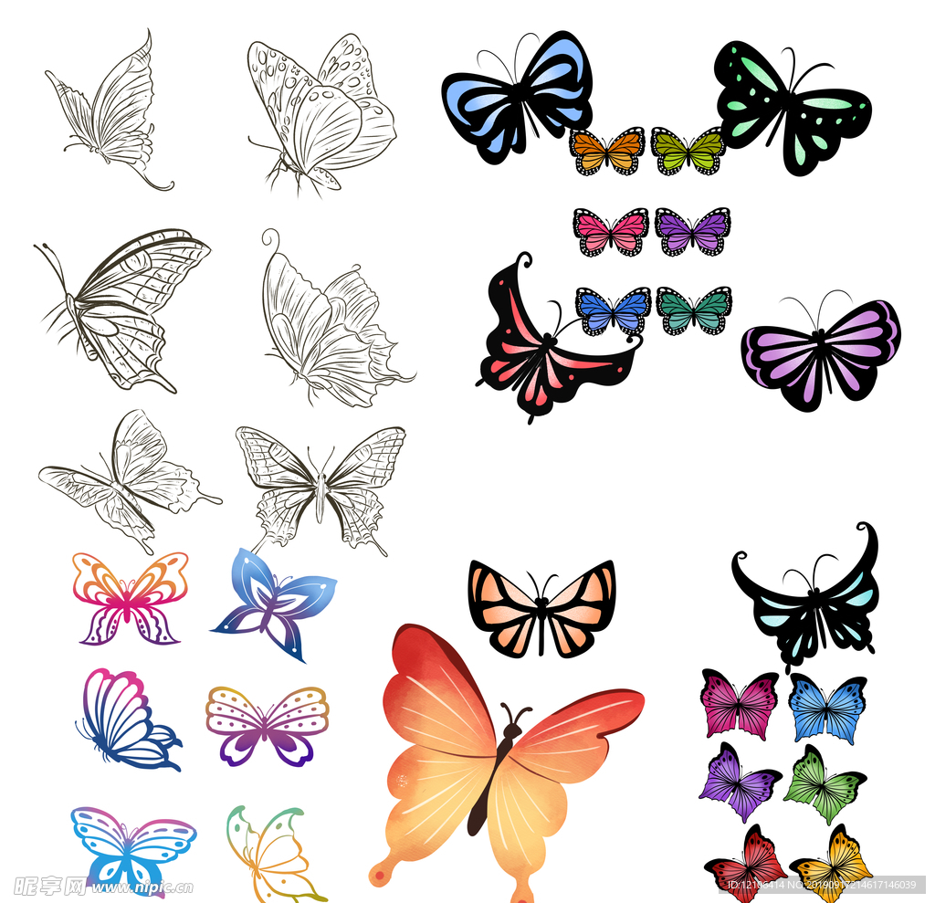 蝴蝶