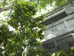 中国城市风情 城市风情 中国
