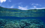日本冲绳 海岸海滩风光  日本