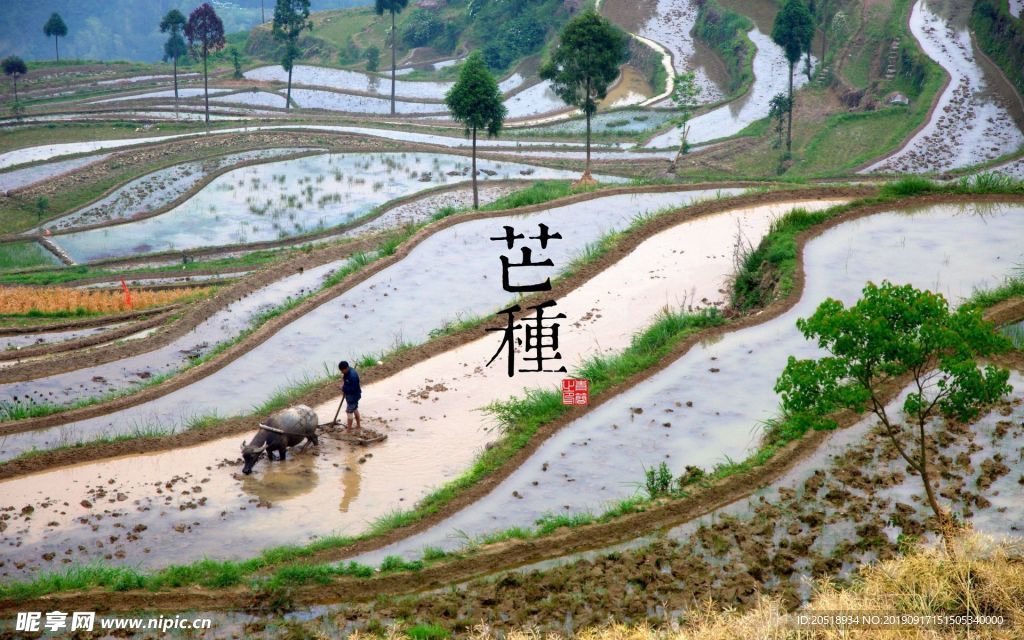 二十四节气 24节气图 24节