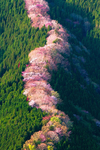 山脊