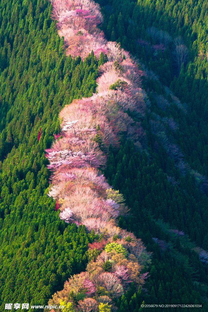 山脊