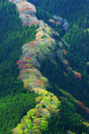 绿色山背
