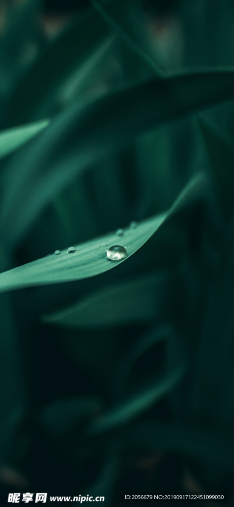 水珠
