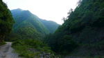 深山老林